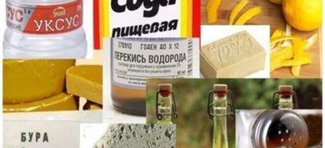 Як позбутися від цвілі і грибка в домашніх умовах