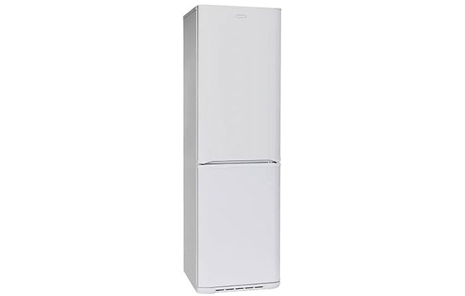 Зовнішній вигляд холодильника Бірюса 120