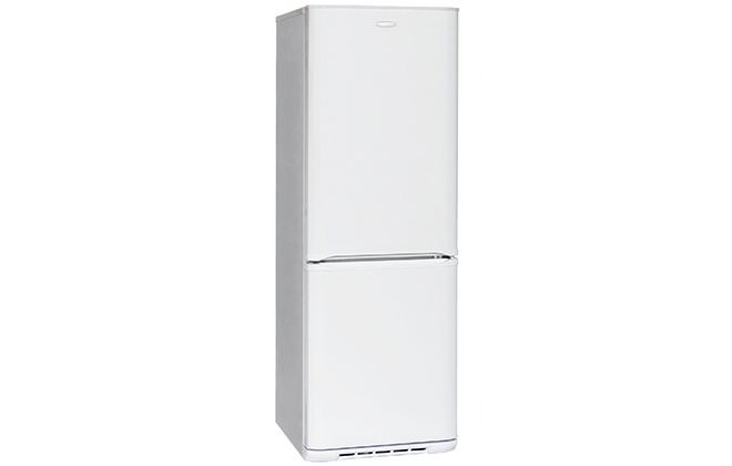 Дизайн холодильника Бірюса 133