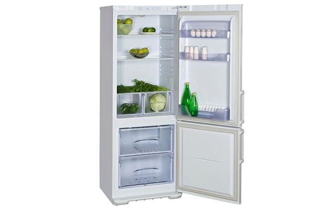 Холодильник Бірюса 134 з продуктами