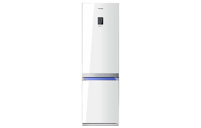 Зовнішній вигляд холодильника Samsung RL55TTE1L
