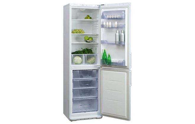 Холодильник Бірюса 149 з продуктами