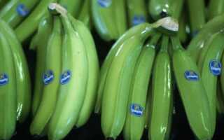 Як потрібно правильно зберігати банани в домашніх умовах, щоб залишалися свіжими