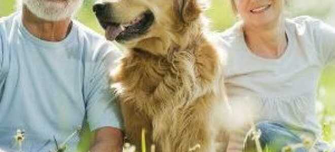 Що можна подарувати сестрі на день народження оригінального