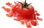 Як відіпрати помідори з одягу: домашні засоби і побутова хімія
