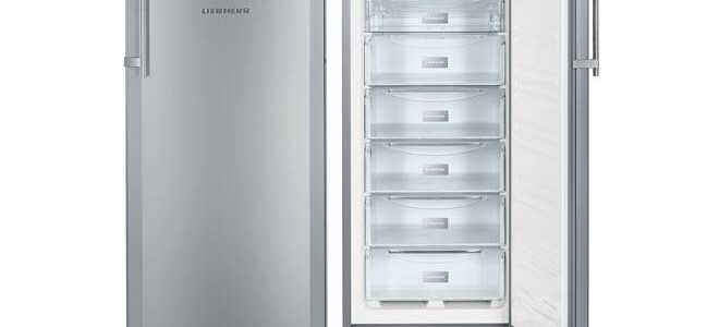 Яку морозильну камеру краще купити для будинку: відгуки покупців, як вибрати, рейтинг, розміри, огляд, по надійності, ТОП-10, якості, види з функцією No frost