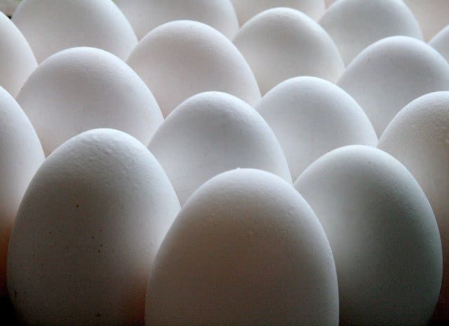 Правильне зберігання яєць для інкубації
