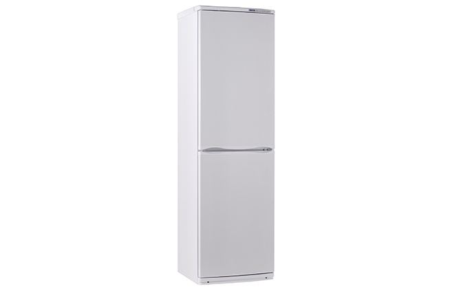 Зовнішній вигляд холодильника Атлант 6025-031